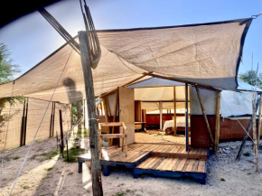 BCS BuenaOnda sea view 7mt bell tent